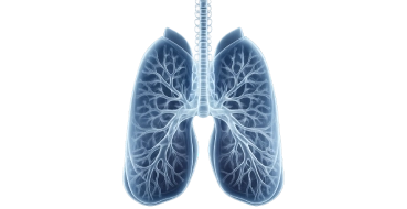 Centre for Thoracoscopy and VATS surgery in Mangalore